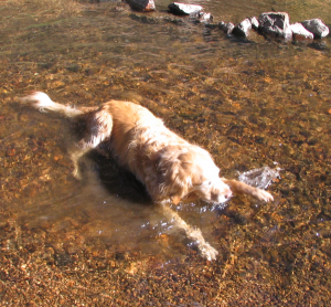 April plays in Buffalo Creek, CO