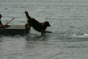 Skimmer walks off the boat to save me.